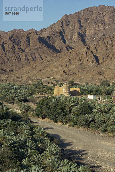 Blick über die Oase Festung Bithnal  arabischen Berge  Vereinigte Arabische Emirate  Naher Osten