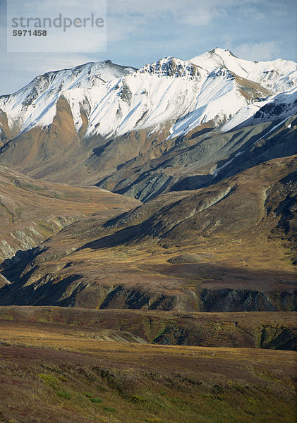 Tundra-Landschaft mit Schneegrenze im Hintergrund auf der Alaska Range Mountains  in den Denali Nationalpark  Alaska  Vereinigte Staaten von Amerika  Nord Amerika