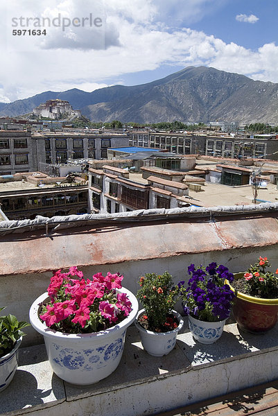 Blick über Lhasa Blick in Richtung Potala-Palast  Lhasa  Tibet  China  Asien