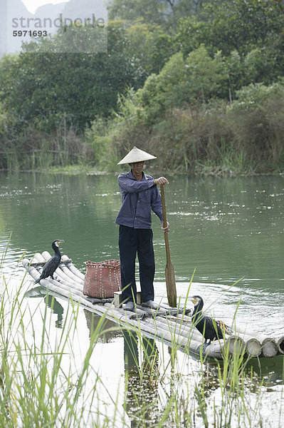 Fischer mit Kormoranen  Yangshuo  Li Fluss  Provinz Guangxi  China  Asien