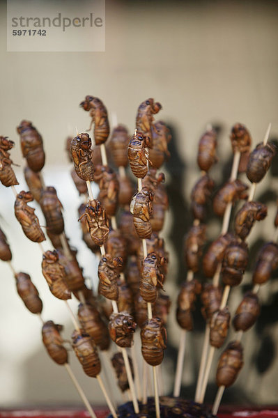 Chinesisches Essen  Insekten  Peking  China  Asien