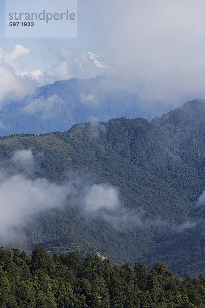 Baum bedeckt Hänge  Himalaya  Bhutan  Asien