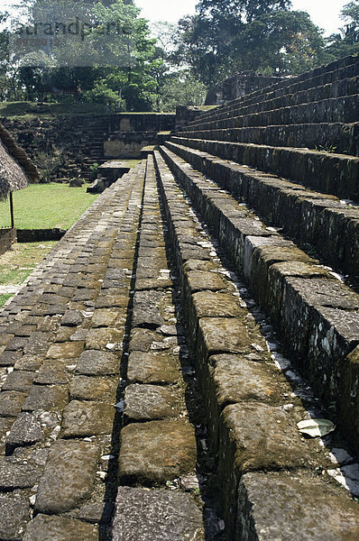 Maya Akropolis aus dem 8. Jahrhundert  Quirigua  UNESCO World Heritage Site  Guatemala  Zentralamerika