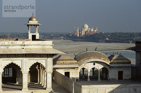 Taj Mahal  UNESCO-Weltkulturerbe  Jumna (Yamuna) River gegenüber von Fort  Agra  Uttar Pradesh Zustand  Indien  Asien