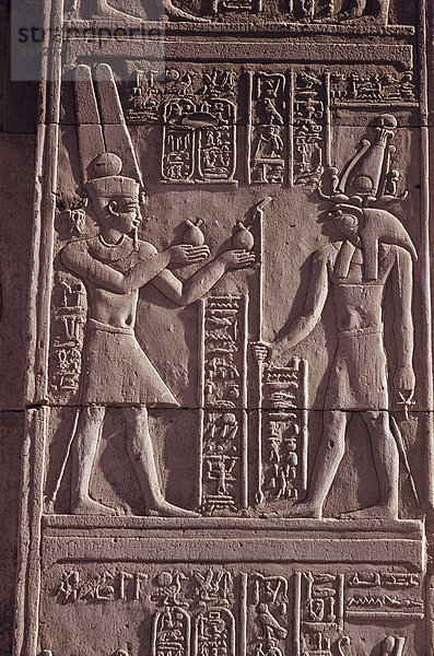 Ptolemäische Flachrelief des Falke-Leitung Gottes vorgelegten Horus mit Opfergaben  Tempel des Sobek und Haroeris  Kom Ombo  Ägypten  Nordafrika  Afrika
