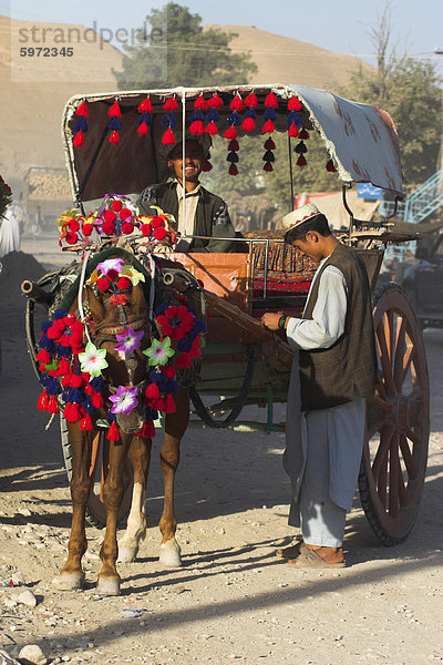 Mann durch bunte Pferdewagen  Maimana  Provinz Faryab  Afghanistan  Asien