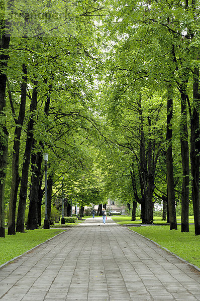 Promenade  grüne Park in der Nähe der russisch-orthodoxen Kathedrale  Riga  Lettland  Baltikum  Europa