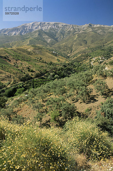 Landschaft in der Nähe von Competa  Malaga  Andalusien  Spanien  Europa