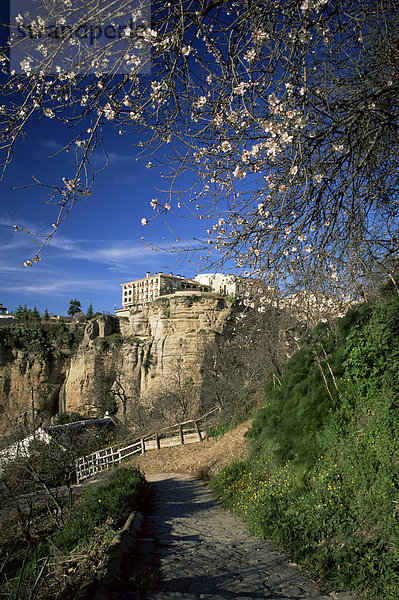 Fußweg in die Schlucht Guadalevin im Frühling mit Parador auf Klippen im Hintergrund  Ronda  Malaga  Andalusien  Spanien  Europa