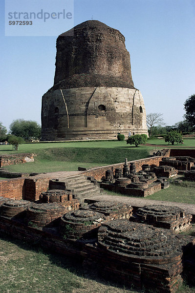 Dhamekh buddhistische Stupa in Sarnath  in der Nähe von Varanasi (Benares)  Uttar Pradesh  Indien  Asien