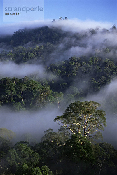 Luftbild der Kappe der Jungfrau Dipterocarp Regenwald  Danum-Valley-Conservation-Area  Sabah  Malaysia  der Insel Borneo  Südostasien  Asien