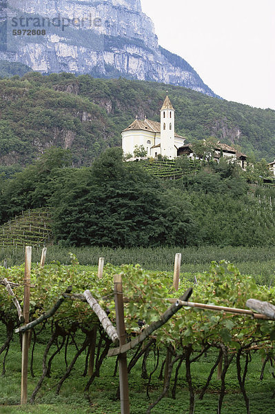 Kirche und Reben am Missiano  Wein Caldero Bezirk  Bozen  Südtirol  Italien  Europa