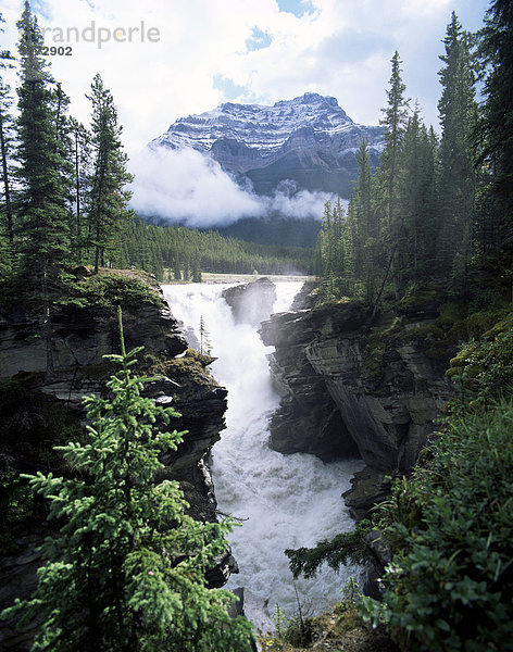 Athabasca Wasserfälle und Mount Kerkeslin  Jasper-Nationalpark  UNESCO-Weltkulturerbe  Rocky Mountains  Alberta  Kanada  Nordamerika