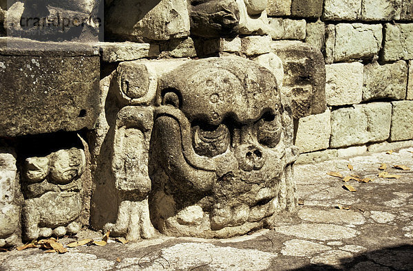 Mayan geschnitzten Stein Schädel auf East Court  aus dem 8. Jahrhundert  Copan  UNESCO Weltkulturerbe  Honduras  Mittelamerika