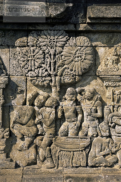 Detail der geschnitzten Fries  Borobudur  UNESCO Weltkulturerbe  Java  Indonesien  Südostasien  Asien