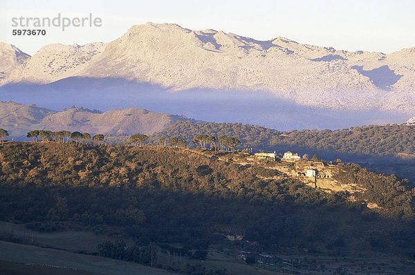 Zuerst Leuchten Sie auf der Serrania de Ronda  Ronda  Malaga  Andalusien  Spanien  Europa