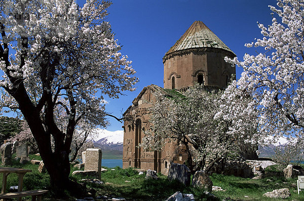 Armenische Kirche des Heiligen Kreuzes  Akdamar Insel  Vansee  Anatolien  Türkei  Kleinasien  Eurasien