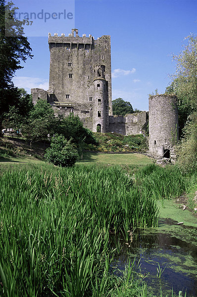 Blarney Castle  County Cork  Munster  Eire (Irland)  Europa