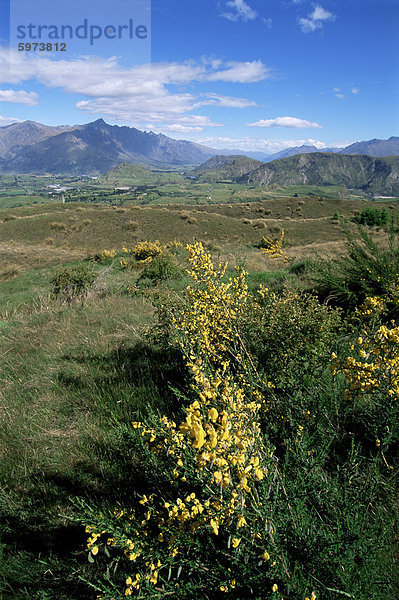 Die Remarkables  Queenstown  Neuseeland