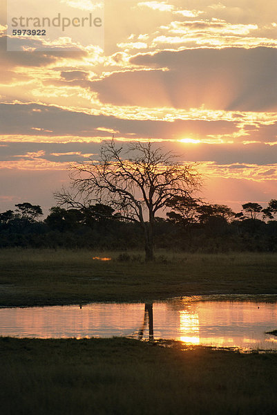 Sonnenuntergang und Wasserloch  Hwange-Nationalpark  Zimbabwe  Afrika