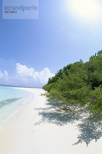 Mendu Insel  Baa Atoll  Malediven  Indischer Ozean  Asien