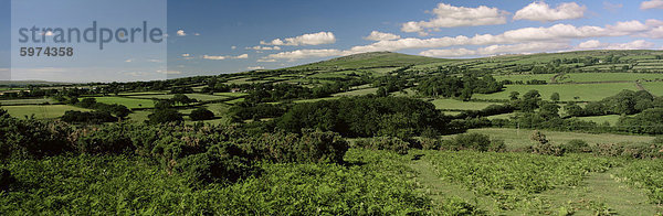 Szene in der Nähe von Low Town  Dartmoor  Devon  England  Vereinigtes Königreich  Südeuropa