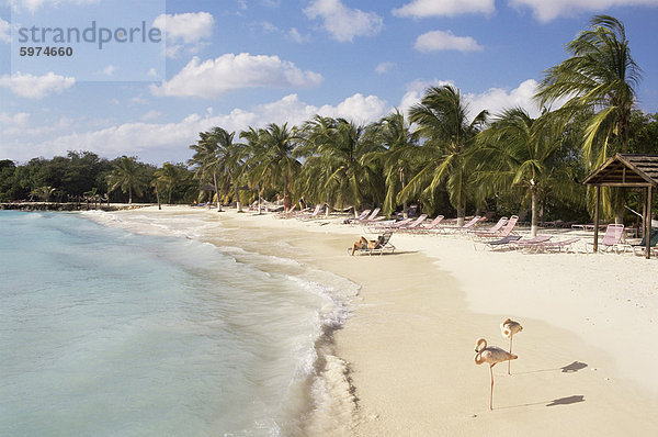 Sonesta Island  Aruba  West Indies  niederländische Karibik  Zentralamerika