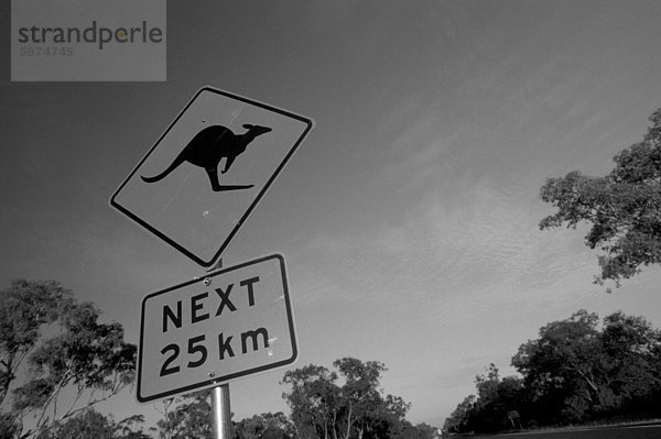 Road sign Warnung von Kängurus  New South Wales  Australien  Pazifik