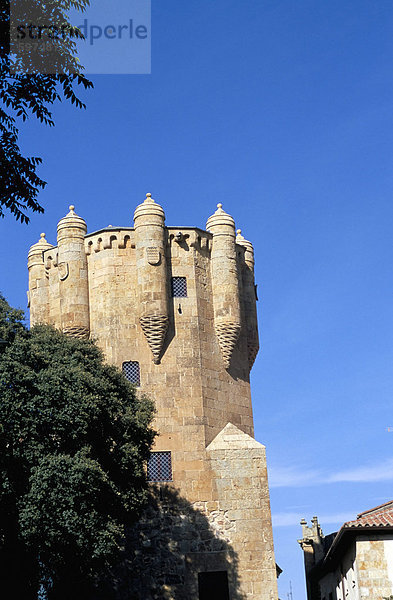 Convento de Las Ursulas  gründete 1512  Gotik  Salamanca  Kastilien  Spanien  Europa