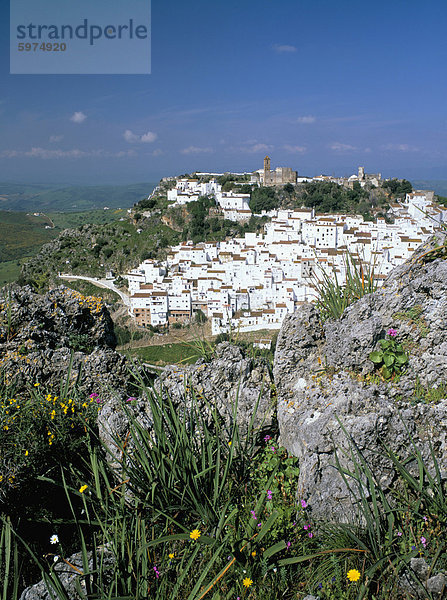 Wildblumen und weißes Dorf mit maurischen Burg  direkt am Berghang  Casares  Malaga  Costa Del Sol  Andalusien (Andalusien)  Spanien  Europa