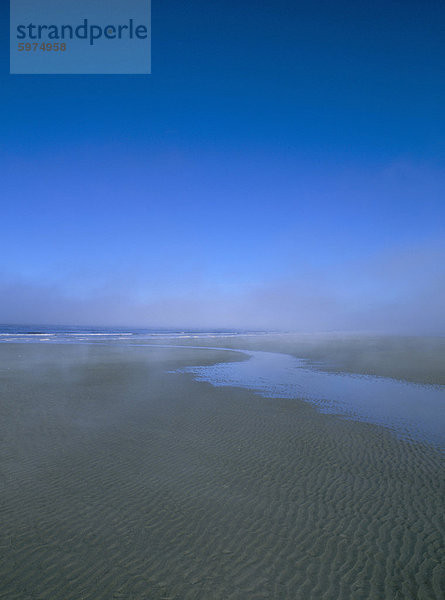 Strand und Meer Nebel  Queen Charlotte Island  British Columbia (BC)  Kanada  Nordamerika