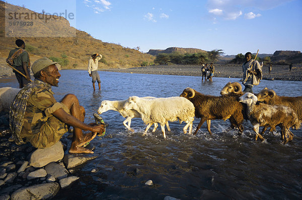 Hirten und Herde  die Überquerung des Flusses  Terari Wenz  Wollo Gebiet  Äthiopien  Afrika