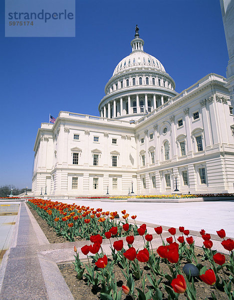 Kapitol  Washington DC  Vereinigte Staaten von Amerika  Nordamerika