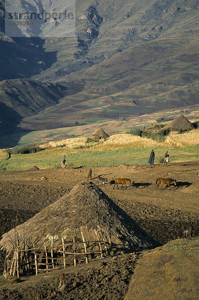Debirichwa Dorf in den frühen Morgenstunden  Nationalpark Simien Mountains  UNESCO World Heritage Site  Äthiopien  Afrika