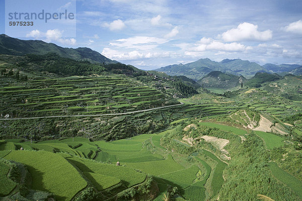 Terrassenförmig angelegten landwirtschaftlichen Flächen zwischen Taijiang und Fanpai  Provinz Guizhou  China  Asien