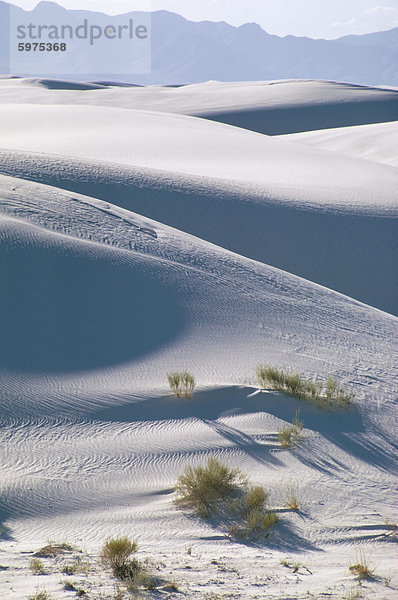 Wüste White Sands  New Mexico  Vereinigte Staaten  Nordamerika