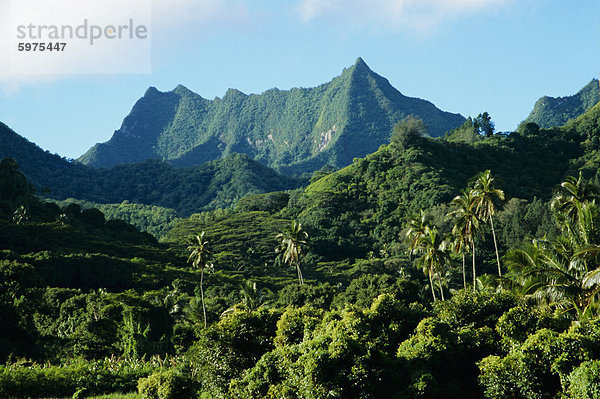 Dichte Wälder und Berge Ppeaks  Rarotonga  Cook Islands  Polynesien  Südsee-Inseln  Pazifik