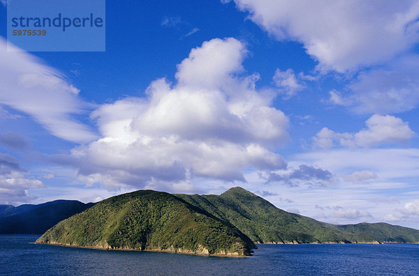 Queen Charlotte Sound  in der Nähe von Picton  Marlborough  Südinsel  Neuseeland  Pazifik