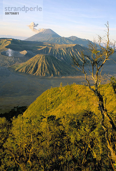 Nationalpark Bromo-Tengger-Semeru im Morgengrauen  Insel von Java  Indonesien  Südostasien  Asien