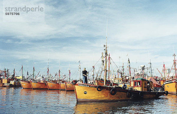 Fischereiflotte im Hafen  Mar Del Plata  Argentinien  Südamerika