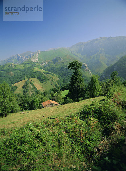 Sierra Fun  Picos de Europa Gebirge  (Green Spain)  Asturien  Spanien