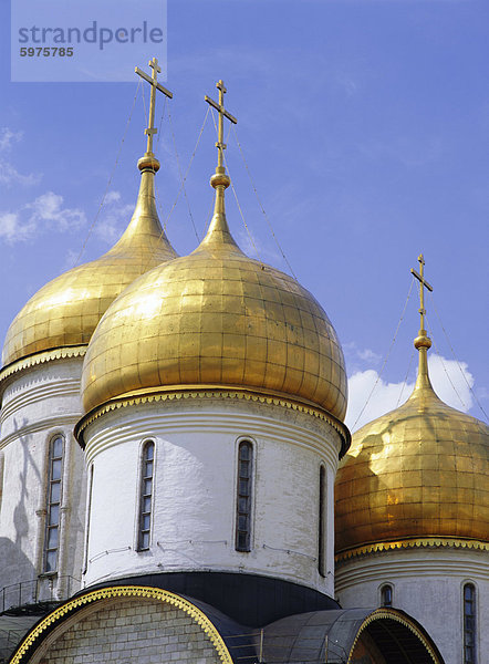 Kuppeln der Kathedrale der Annahme  Moskau  Russland  Europa