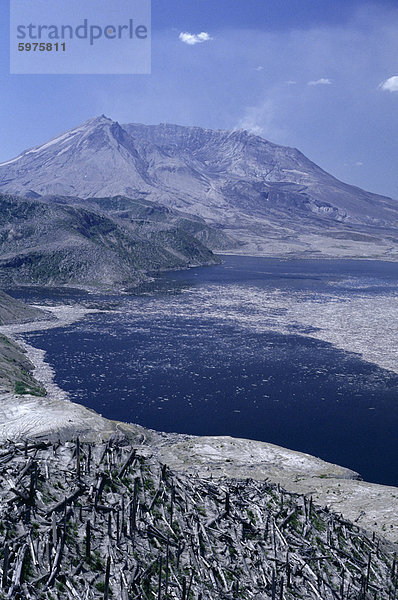 fließen Wald Vulkanausbruch Ausbruch Eruption See Nordamerika Vernichtung Holz explodieren Zimmer Krater neu Washington State