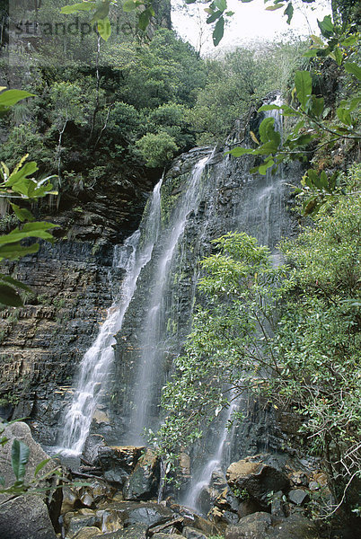 Beauchamp Falls  Blue Mountains-Nationalpark  UNESCO Weltkulturerbe  in der Nähe von Blackheath  New South Wales (NSW)  Australien  Pazifik