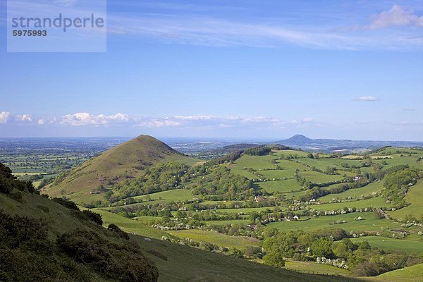 Lawley von hängen der Caer Caradoc im Frühjahr Abendlicht  Church Stretton Hills  Shropshire  England  Vereinigtes Königreich  Europa