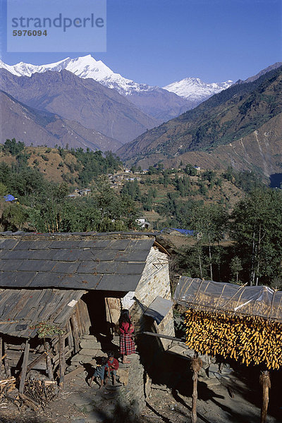 Mais hängen zum Trocknen von außen Dorfhaus  Sikha Dorf und Ansicht Blick nach Norden zwischen Tatopani und Ghorepani auf der Trek Jomsom (Jomson) nördlich von Pokhara  Himalaya  Nepal  Asien