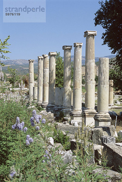 Spalten  Ausgrabungsstätte  Aphrodisias  Anatolien  Türkei  Kleinasien