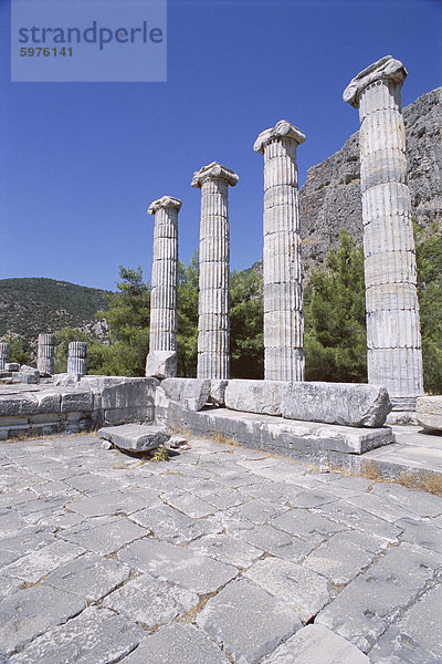 Spalten in den Ruinen der Tempel der Athene  Ausgrabungsstätte  Priene  Anatolien  Türkei  Kleinasien
