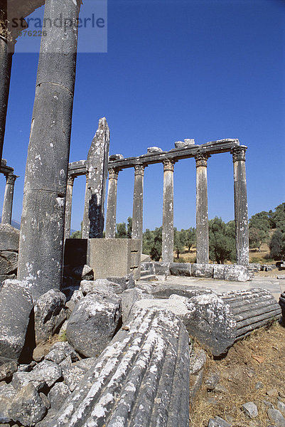 Ruinen  Ausgrabungsstätte  Euromos  in der Nähe von Bodrum  Anatolien  Türkei  Kleinasien
