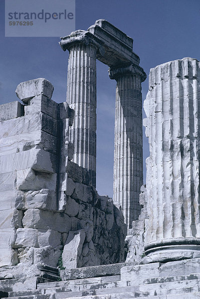 Ruinen der Tempel des Apollon  Ausgrabungsstätte  Didyma  ägäischen Küste  Anatolien  Türkei  Kleinasien